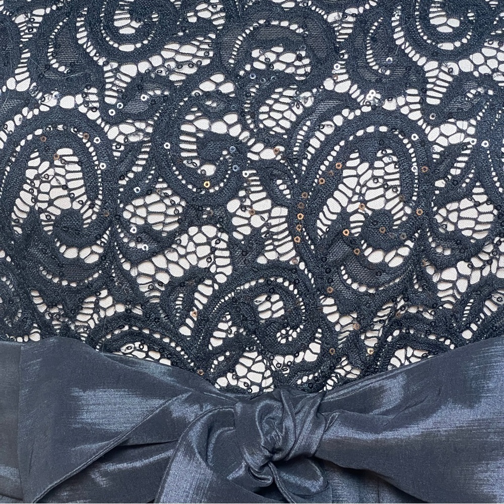 R & M Richards Little Black Dress with Lace Accent (SIze 20W) - Picture 5 of 7